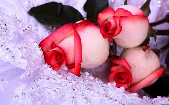 как использовать лепестки роз